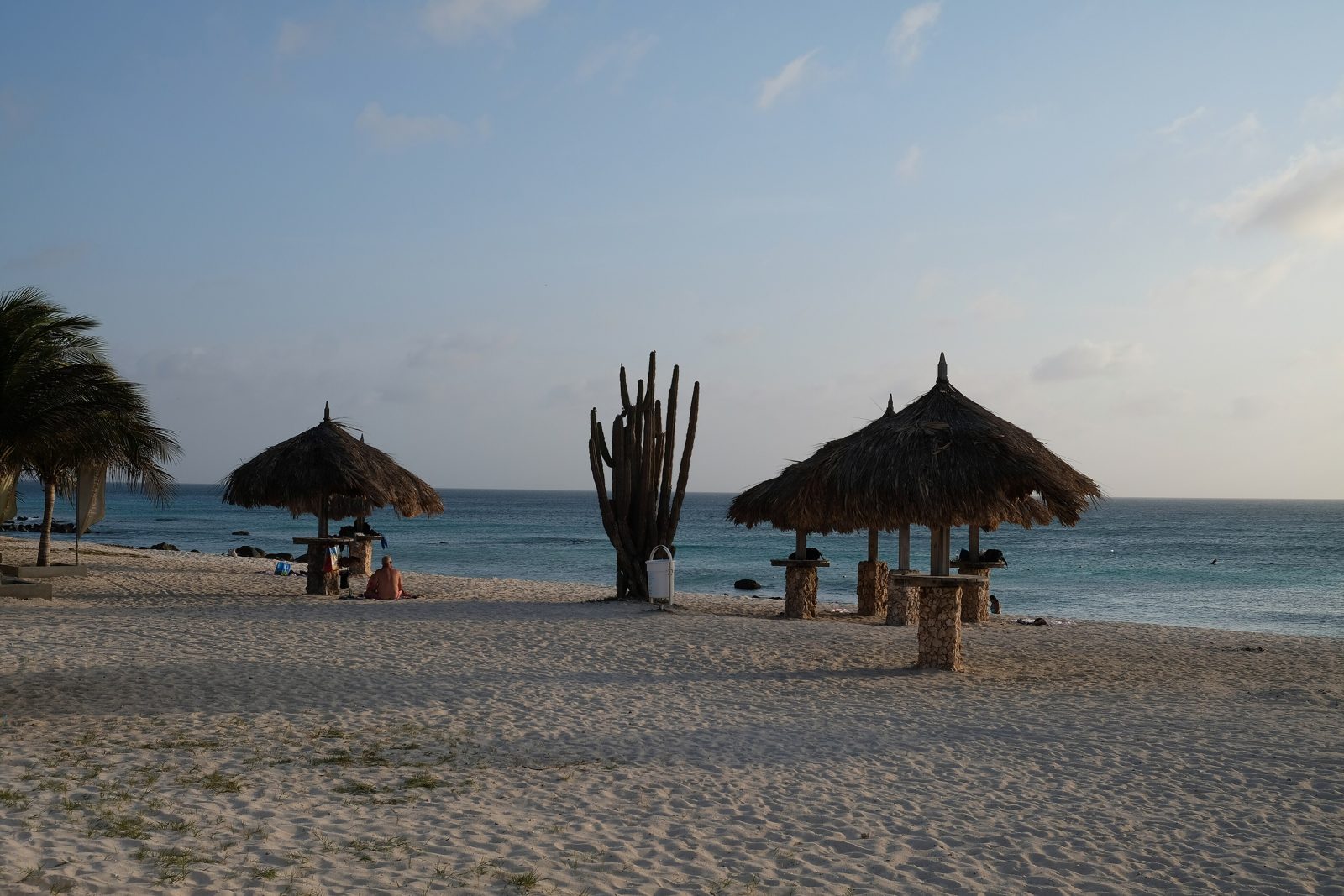 Arashi Beach, Aruba: palapas and cactus